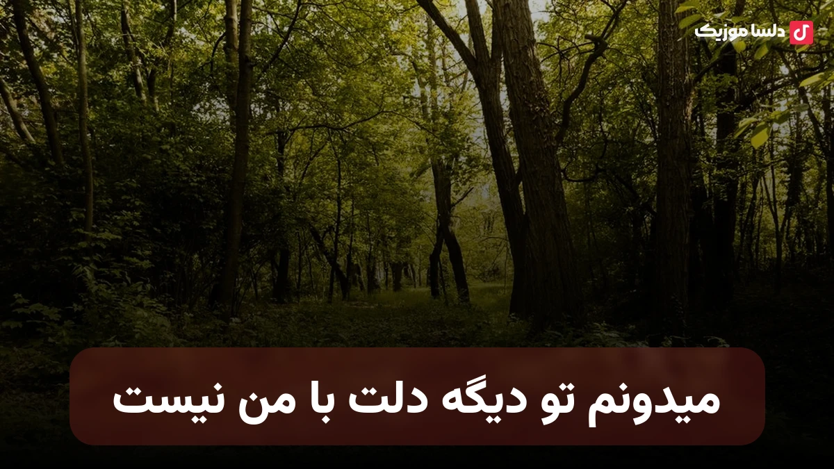 ملورین قلب سنگی - میدونم تو دیگه دلت با من نیست